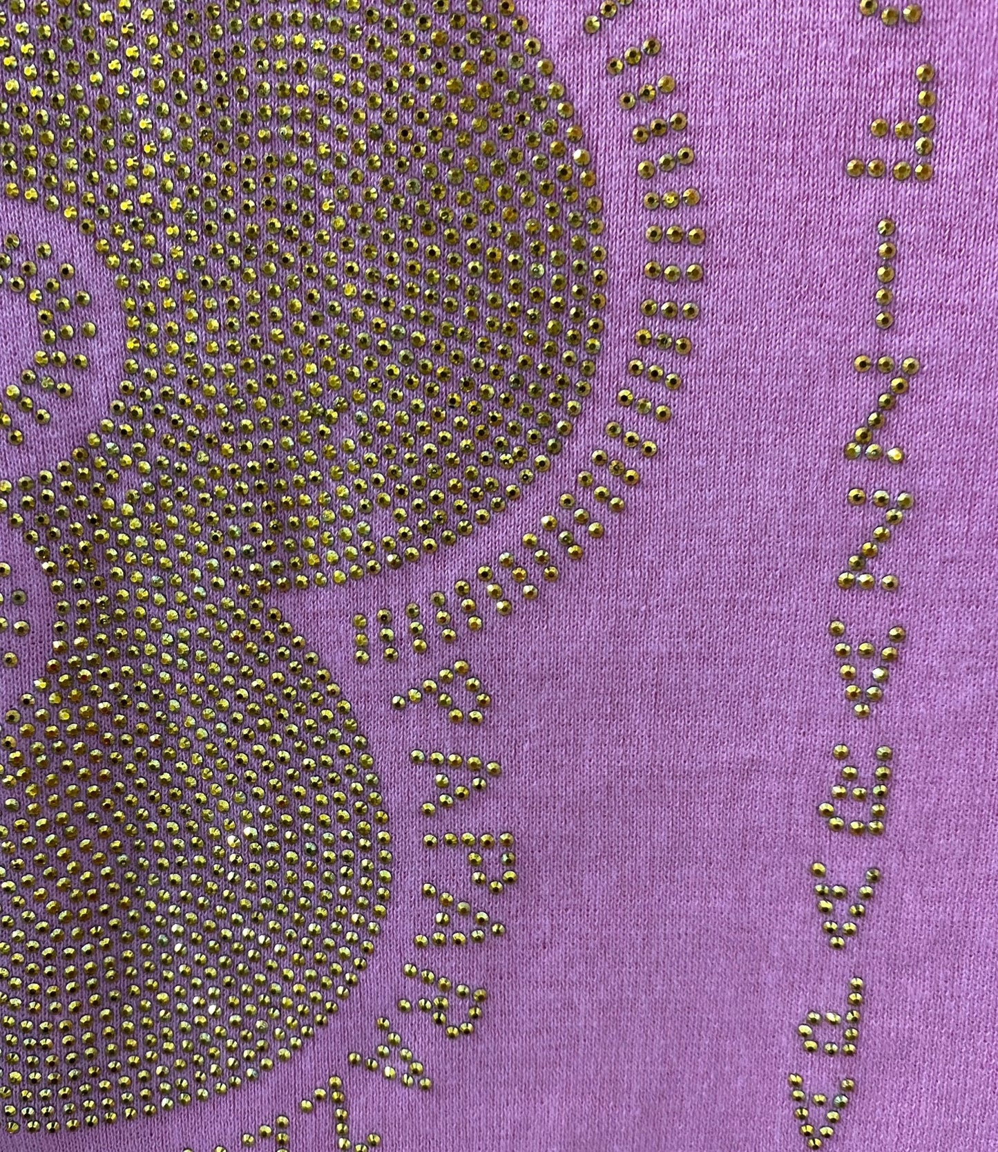 Vibrant Pink Gold Embellished Vest Top